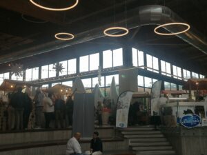 IMG_20221113_133147