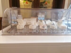IMG_20221204_130226